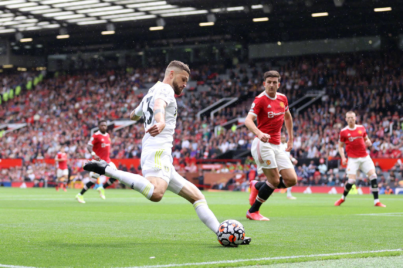 顽强的斗志 顽强的斗志